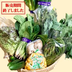 第56回　福島野菜おまかせセット　駅なか八百屋で人気の福島野菜