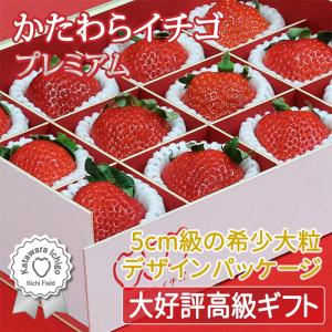 いちご イチゴ 苺 かたわらイチゴ プレミアム ギフト
