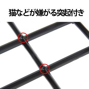 テトラ (Tetra) テトラ じょうろでキレ...の詳細画像5