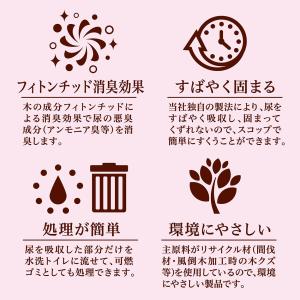 アドメイト (ADD. MATE) サクラの香...の詳細画像4