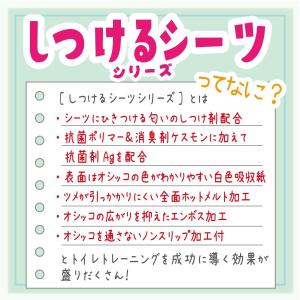 ボンビアルコン (Bonbi) しつけるシーツ...の詳細画像4