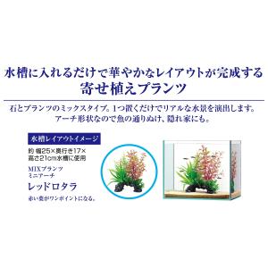 GEX ジェックス 癒し水景 MIXプランツ ...の詳細画像1