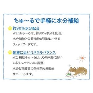 いなば ちゅ~る 水分補給 とりささみ ビーフ...の詳細画像1