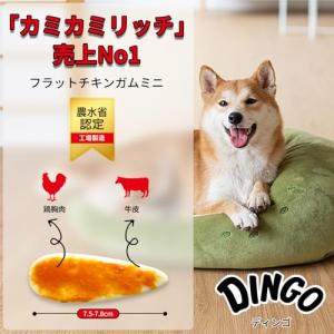 ディンゴ (Dingo) 犬 おやつ フラット...の詳細画像4