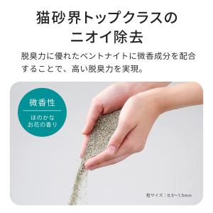 【OFT】 セリームバイオサンド グリーン 2...の詳細画像3