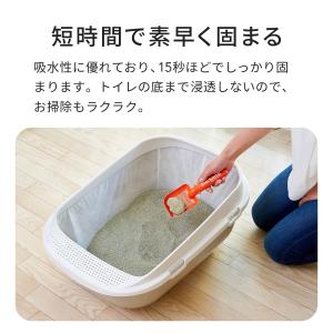 【OFT】 セリームバイオサンド グリーン 2...の詳細画像4
