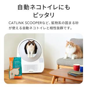 【OFT】 セリームバイオサンド グリーン 2...の詳細画像5