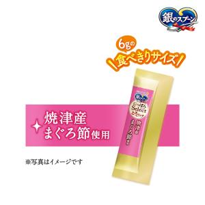 銀のスプーン おやつ とろ~り まぐろ入り 4...の詳細画像3