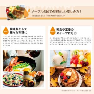 モンファボリ メープルシロップ 330g 瓶 ...の詳細画像4
