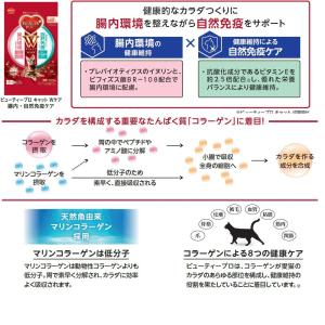 ビューティープロ キャットフード Wケア 腸内...の詳細画像2