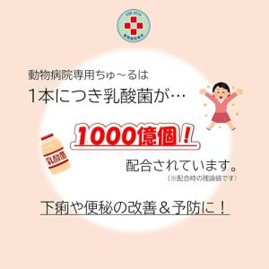 いなば 犬用おやつ エネルギーちゅ〜る 乳酸菌...の詳細画像3