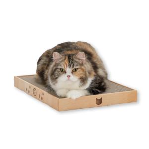 猫壱(necoichi)バリバリパッド ワイドプ...の商品画像