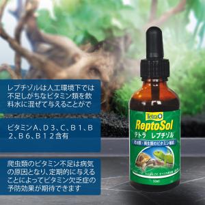 テトラ (Tetra) レプチゾル 50ml ...の詳細画像2