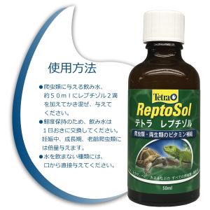 テトラ (Tetra) レプチゾル 50ml ...の詳細画像4