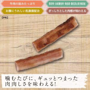 ドギーマン お肉屋さんのジューシービーフカルパ...の詳細画像4