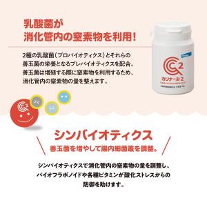 バイエル カリナール2 50gの詳細画像2