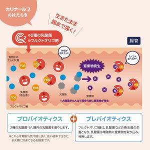 バイエル カリナール2 50gの詳細画像3