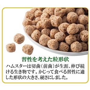 GEX ジェックス ハムスタープレミアムフード...の詳細画像2