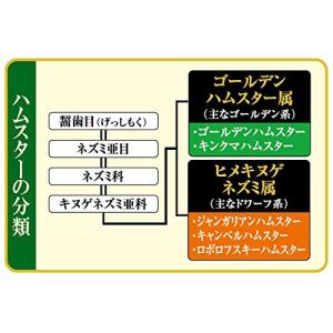 GEX ジェックス ハムスタープレミアムフード...の詳細画像3