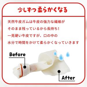 ディンゴ (DINGO) 犬 ガム おやつ オ...の詳細画像5