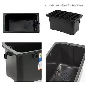 Tetra テトラ じょうろでキレイメダカ鉢 ...の詳細画像1