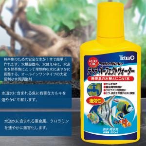 テトラ (Tetra) パーフェクト ウォータ...の詳細画像2