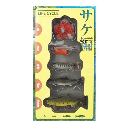 ザ・アクセス フィギュア サケ LIFE CYCLE 動物 水族館 おもちゃ