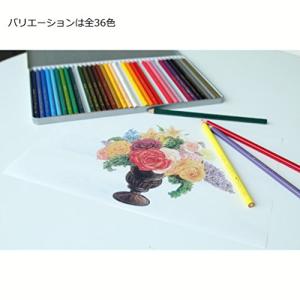 トンボ(Tombow) 鉛筆 色鉛筆 1500...の詳細画像4