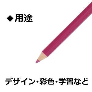 トンボ(Tombow) 鉛筆 色鉛筆 1500...の詳細画像2