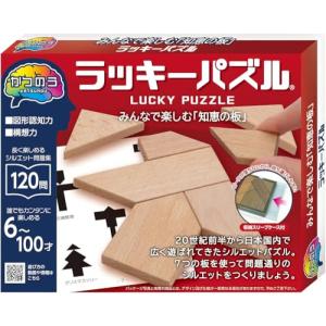 ハナヤマ(HANAYAMA) パズル・エクササイズ かつのう ラッキーパズル 対象年齢6才~