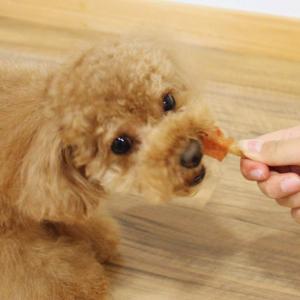 ドギーマン 犬用おやつ こだわり ササミドック...の詳細画像5