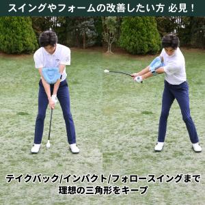 Tabata(タバタ) ゴルフ 素振り トレー...の詳細画像1