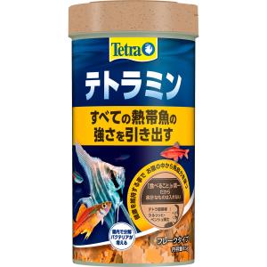 テトラ (Tetra) テトラミン 45G 熱帯...の商品画像