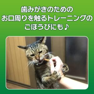 ライオン PETKISS 猫用おやつ ネコちゃ...の詳細画像5