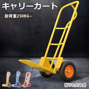アイケーキャリー 250kg 二輪車 4011 ロッキング 運搬車 業務用