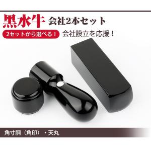 印鑑 法人 黒水牛法人印鑑 2本セット 法人 ...の詳細画像4