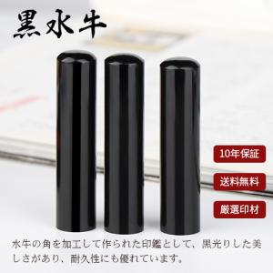 印鑑 作成 認印+訂正印セット ツインケース付...の詳細画像2
