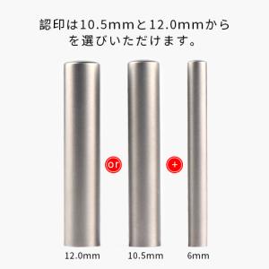 銀色チタン 2本セット 訂正印・認印 ツインケ...の詳細画像2
