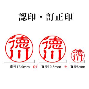 銀色チタン 2本セット 訂正印・認印 ツインケ...の詳細画像3
