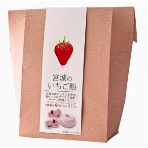 宮城のいちご飴 : きちみ製麺 ヤフーショッピング店 - 通販 - Yahoo