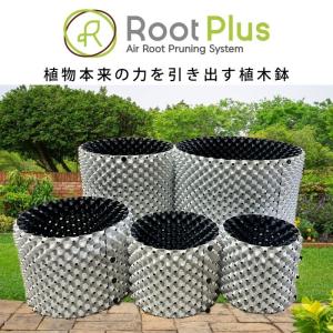 ルートプラスポット 12Lホワイト 5個セット : 吉瀬園芸