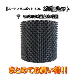 ルートプラスポット 12L 50個セット : 吉瀬園芸 - 通販 - Yahoo
