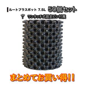 ルートプラスポット 28Lホワイト 5個セット : 吉瀬園芸 - 通販