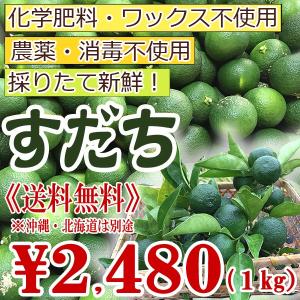 柑橘類 すだち【送料無料】無農薬・無化学肥料・無消毒  酢橘（スダチ）三重県産１kg《大きさまちまち皮まで安心！》｜kichisuke-net