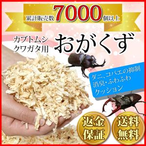 おがくず カブトムシ 国産 ひのき 100% チップ クワガタ 飼育 マット 防虫 kicoriya｜kicoriya2