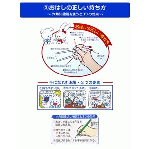 箸 子供用 トレーニング 六角知能箸 すべらな...の詳細画像3