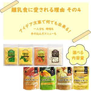 離乳食 野菜フレーク お試しセット 北海道産 ...の詳細画像5