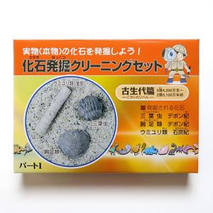 化石発掘クリーニングセット　パートI／古生代編
