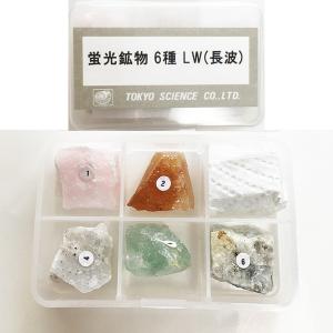 ジェムストーンの標本 ジェムストーン 標本 45種セット 鉱物コレクション 宝石標本 ケース
