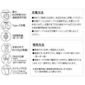オーロラ ハンディファン 置いて手に持って2W...の詳細画像2